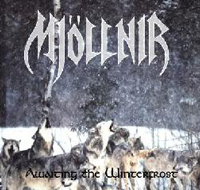 Mjöllnir - Awaiting the Winterfrost Mjöllnir - Awaiting the Winterfrost