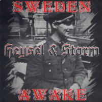 Heysel/Storm - Sweden awake Heysel/Storm - Sweden awake