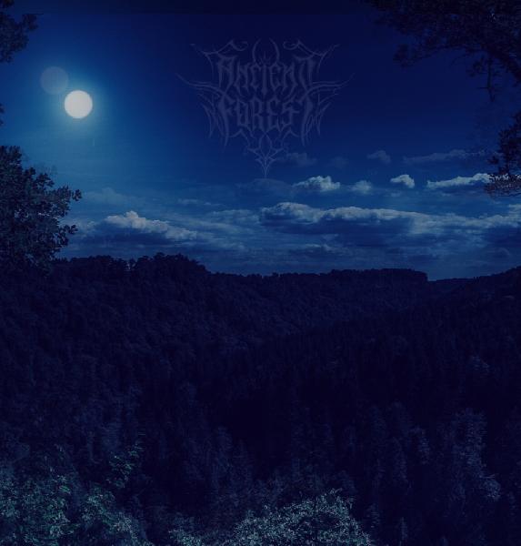 Ancient Forest - Into the dark Kingdom